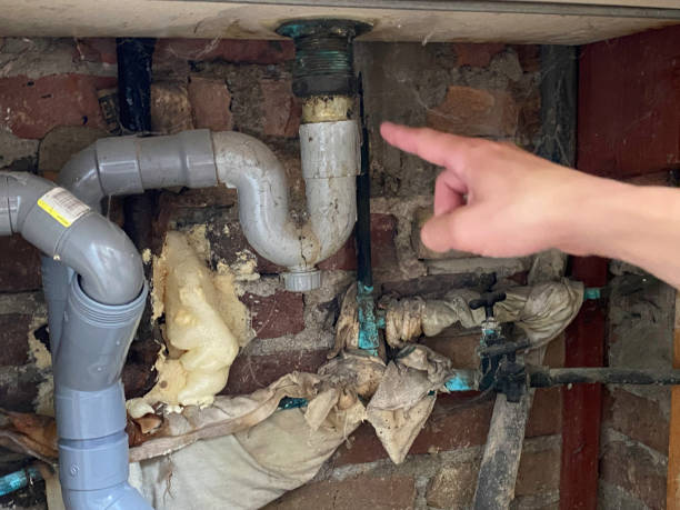 Best Water damage restoration company  in Decatur, AL